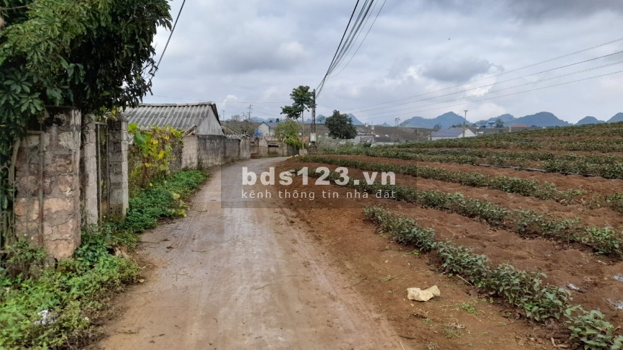 Bán đất tiểu khu 68, TTNT Mộc Châu diện tích 343m2 trong đó có 120m2 thổ cư