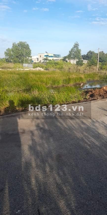 Chính chủ cần bán gấp lô đất ở 233 Phước Thắng, Phường 12.TP Vũng Tàu