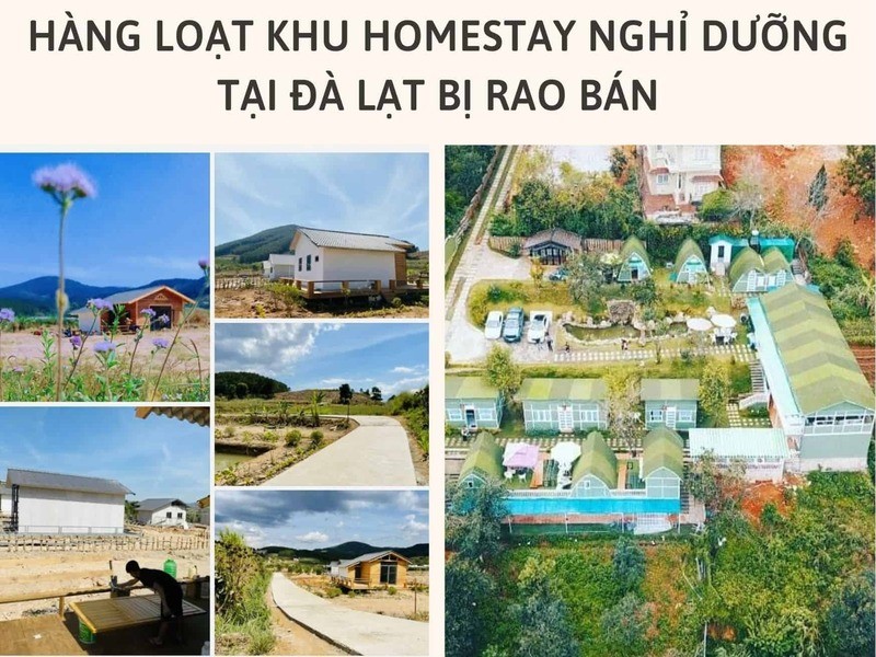 Hà loạt khu homestay nghỉ dưỡng Đà Lạt bị rao bán