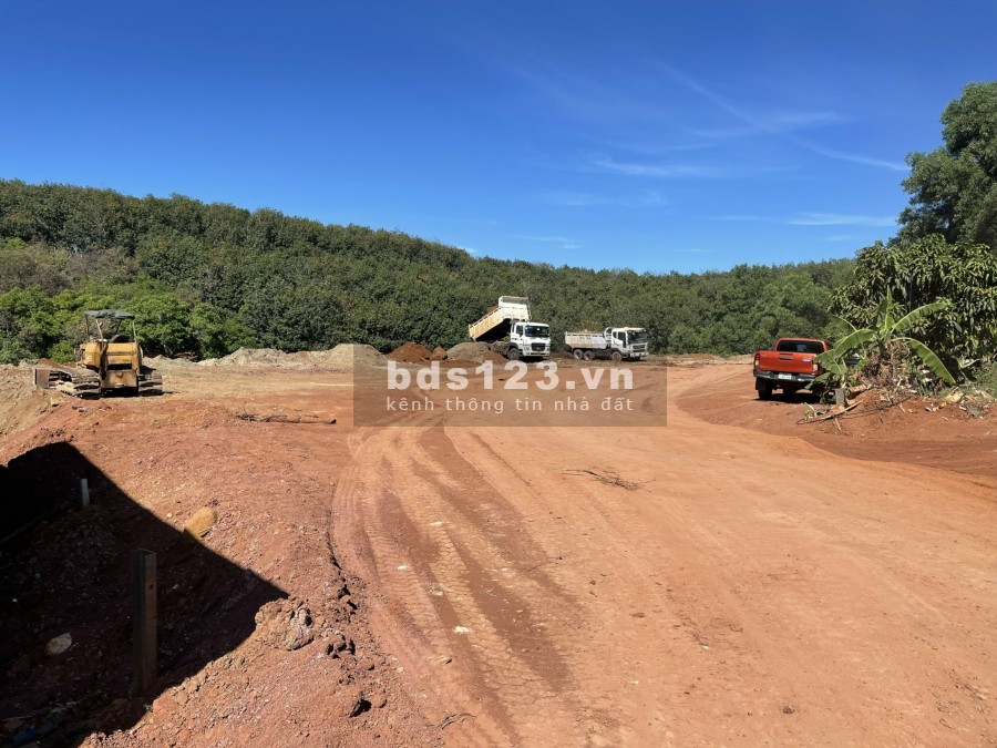 Cần bán 9.015m2 đất CLN mặt đường ĐT753, giá 170tr/1m ngang, xã Tân Lợi, Đồng Phú, Bình Phước
