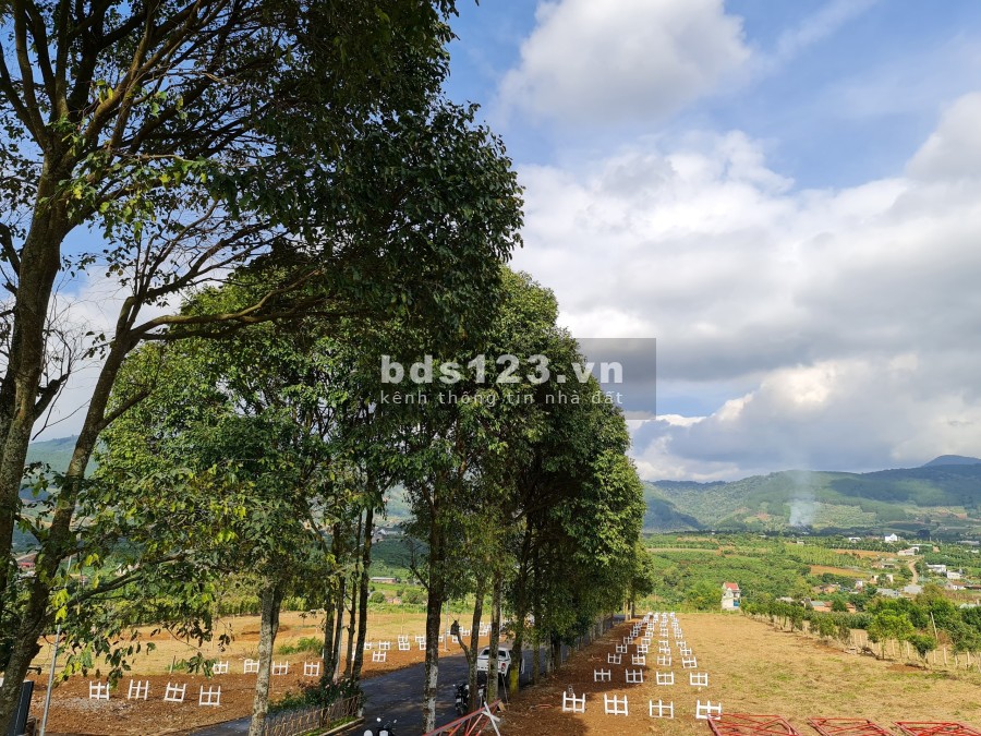 Bán đất biệt thự gần Đà Lạt đã có sổ từng nền full thổ cư - Eden Hills Đà Lạt, sổ hồng từng nền