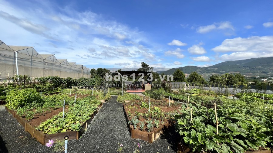 Bán đất biệt thự gần Đà Lạt đã có sổ từng nền full thổ cư - Eden Hills Đà Lạt, sổ hồng từng nền