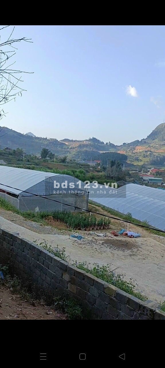 Lô đất full thổ cư, view mây núi cực đẹp tại khu vực Sa Pa liên hệ xem đất 0377524790