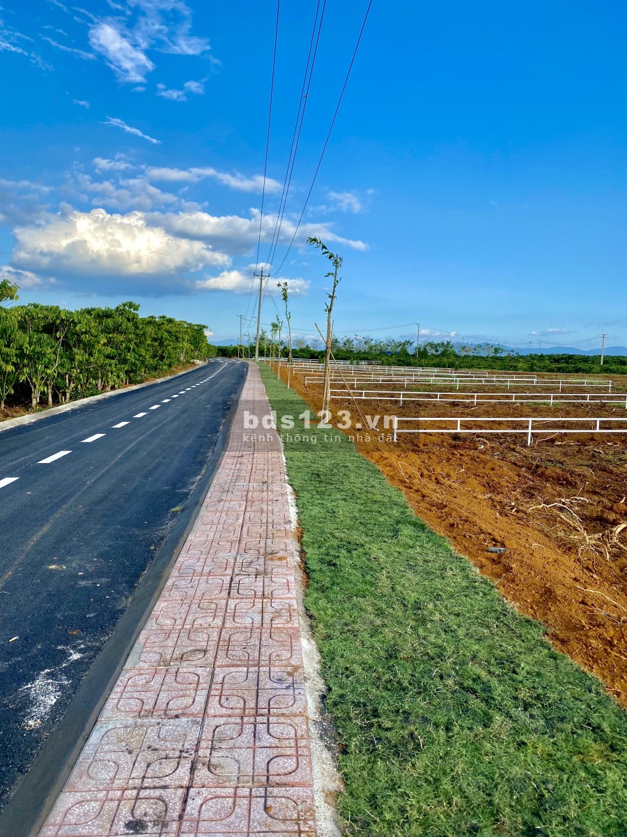 Đất chính chủ trung tâm Bảo Lộc - Lâm Đồng liên hệ 0914951152, giá chỉ 89 triệu/m2