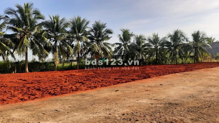 Bán đất thổ cư chính chủ khu cá Đồng Hàm Thắng Phan Thiết, có sổ đỏ đầy đủ bàn giao ngay