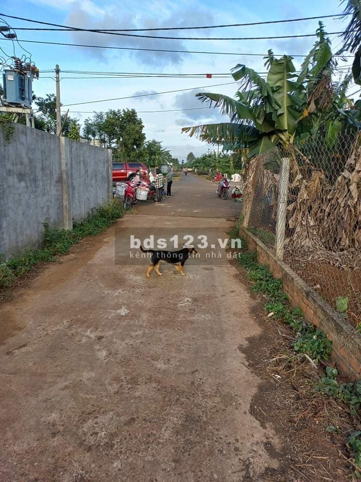 Bán lô đất Y Wang nối dài Cao Thắng - Xã Ea Kao cách đường Y Wang - Chợ chỉ 50m