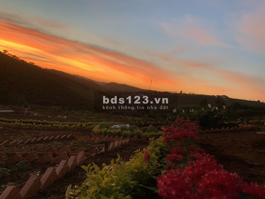 Bán đất gần trung tâm Bảo Lộc VIEW Cực Đẹp giá phải chăng diện tích lớn, giá 8 triệu/m2