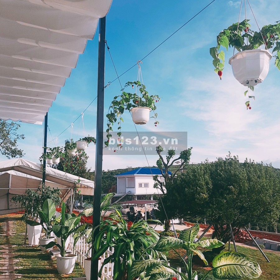 Bán đất gần trung tâm Bảo Lộc VIEW Cực Đẹp giá phải chăng diện tích lớn, giá 8 triệu/m2