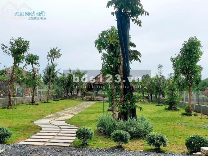 Cần bán lô đất vườn Củ Chi diện tích 500m2, có sẵn sổ hồng, khu dân cư đông, giá tốt