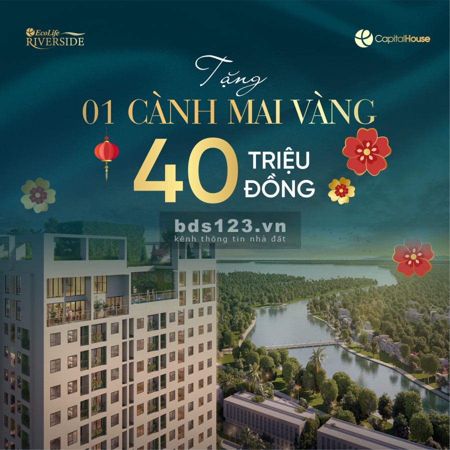 Mua Nhà Đón Tết chung cư Ecolife Riverside Quy Nhơn 2PN giá 1ty2 liên hệ 0965268349