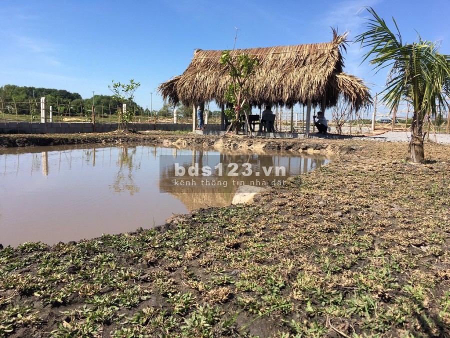 Cần bán lô đất vườn Củ Chi diện tích 500m2, có sẵn sổ hồng, khu dân cư đông, giá tốt