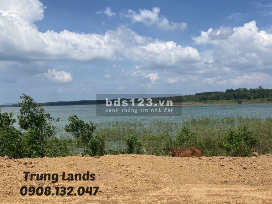 Bán 2000 m2 đất xã Bình Ba,view hồ Đá Đen Châu Đức, BRVT giá 4 tỷ trung, lh 0908132047