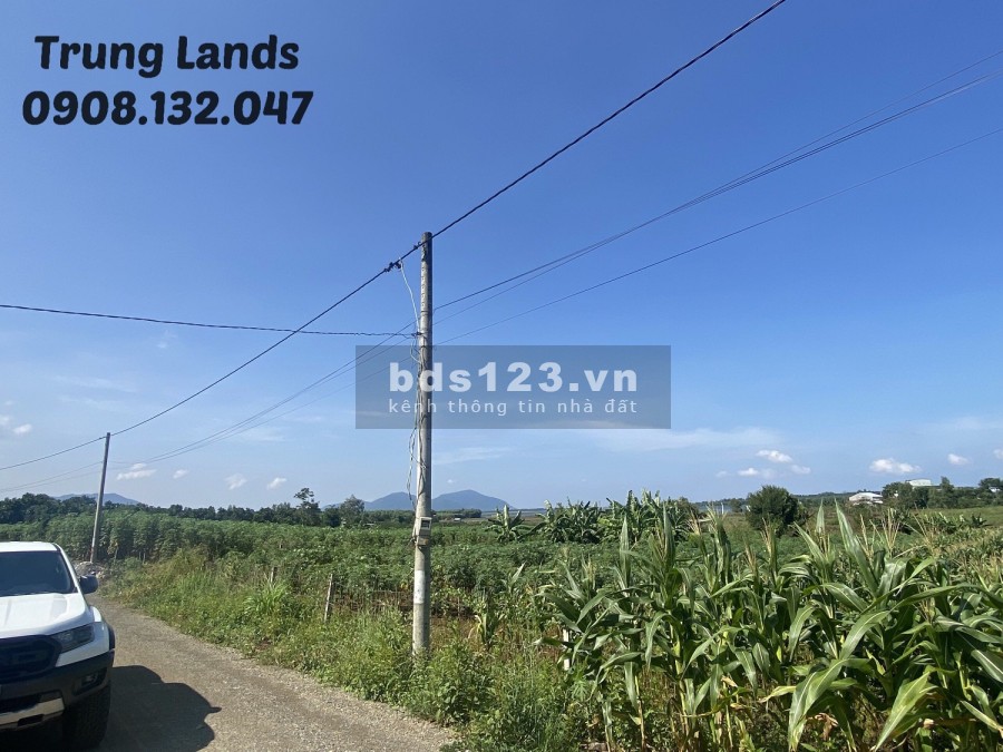 Bán 2000 m2 đất xã Bình Ba,view hồ Đá Đen Châu Đức, BRVT giá 4 tỷ trung, lh 0908132047