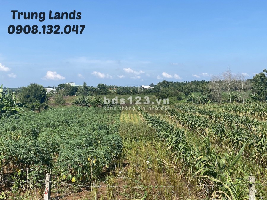Bán 2000 m2 đất xã Bình Ba,view hồ Đá Đen Châu Đức, BRVT giá 4 tỷ trung, lh 0908132047