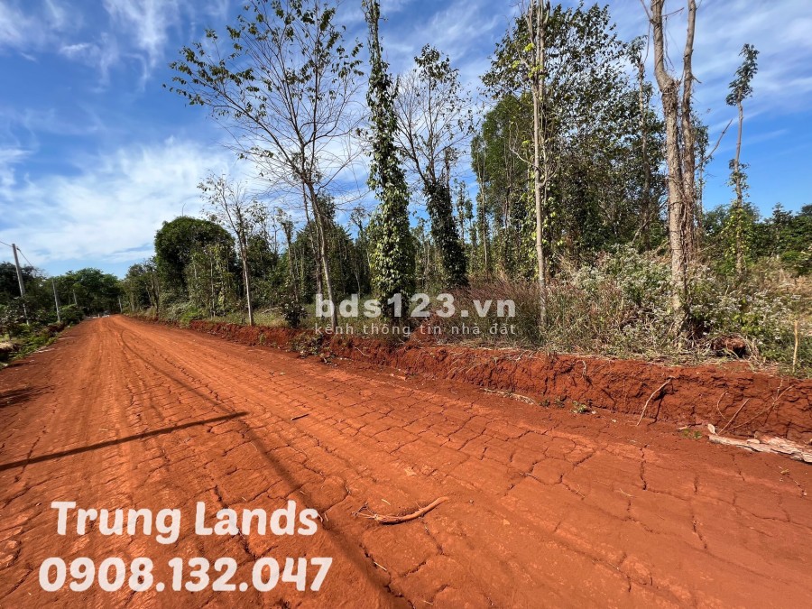 Bán 21m mặt tiền 2000 m2 đất Suối Lúp- Bình Ba, Châu Đức, BRVT giá 4 tỷ trung 0908.132.047