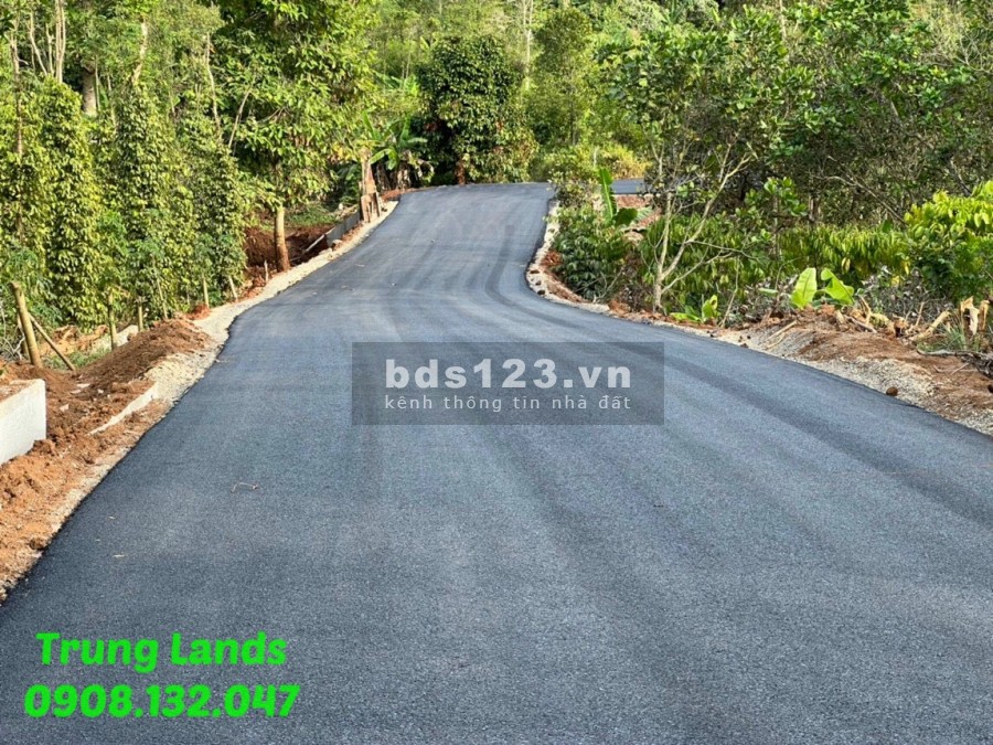 Bán 2000m2 có 100m2 thổ cư giá 4.25 tỷ Suối Lúp- Bình Ba, Châu Đức, BRVT. Trung 0908.132.047