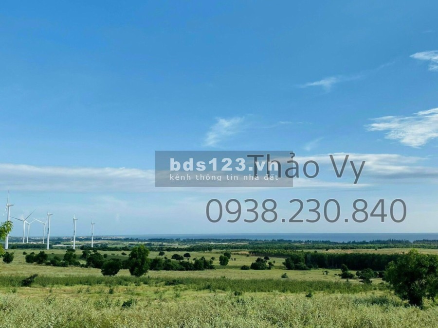 Lô đất hoa hậu view biển 5000m2 Tuy Phong, Bình Thuận giá đầu tư sinh lời, pháp lý đủ