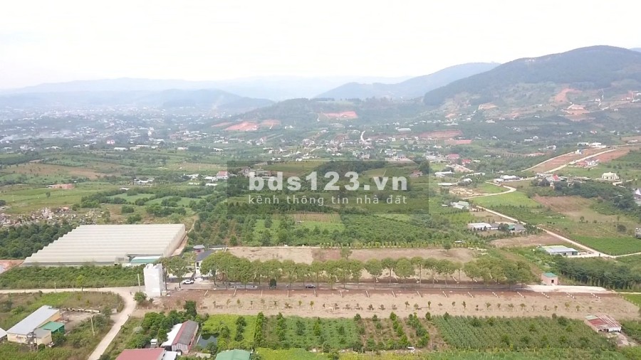 Đất nền biệt thự nghỉ dưỡng Eden Hills Đà Lạt pháp lý hoàn thiện giá 4.5tr/m2