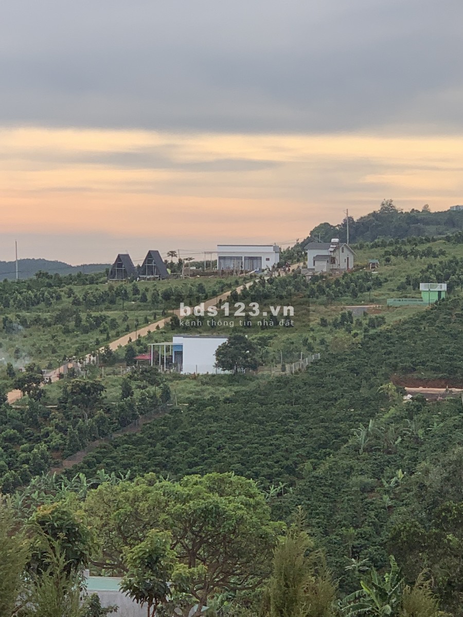 Đất nền biệt thự vườn Lâm Hà Lâm Đồng ven Đà Lạt liên hệ 0966324638, khu dân cư hiện hữu