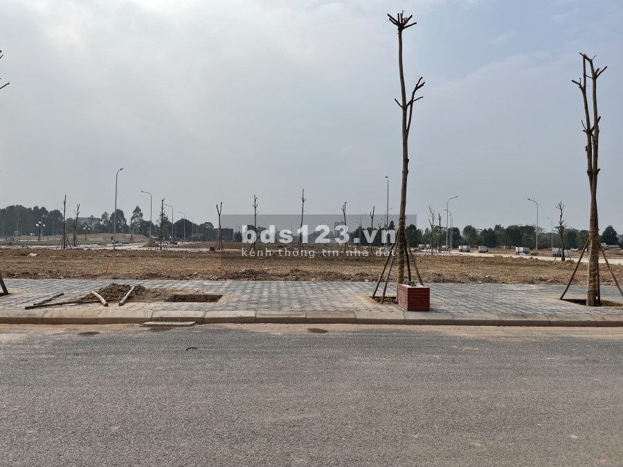 Dự Án The Felix Bích Động, Việt Yên - Bắc Giang liên hệ xem đất liên hệ chính chủ 0799863888