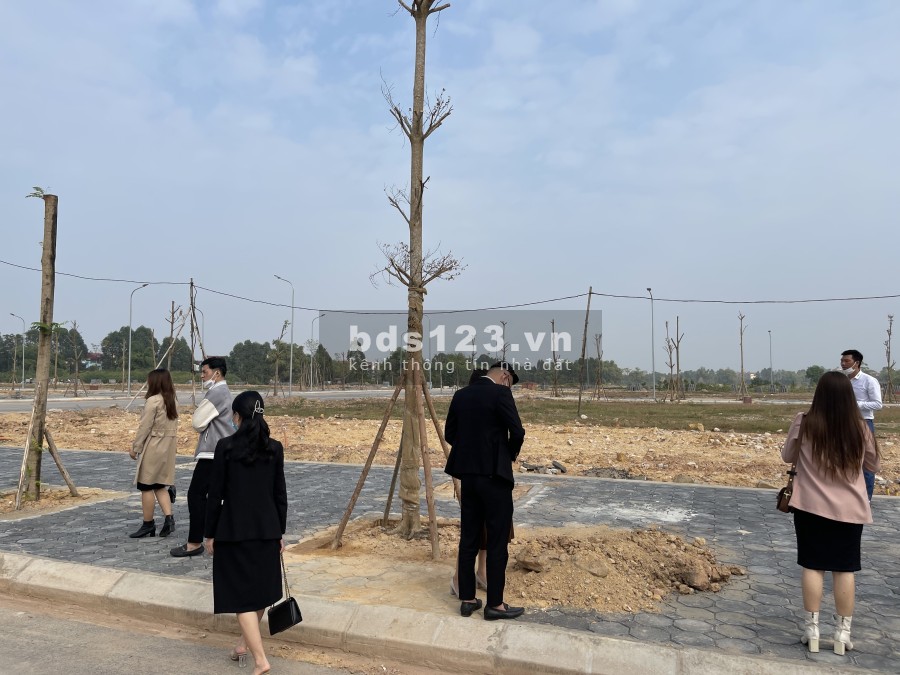 Dự Án The Felix Bích Động, Việt Yên - Bắc Giang liên hệ xem đất liên hệ chính chủ 0799863888