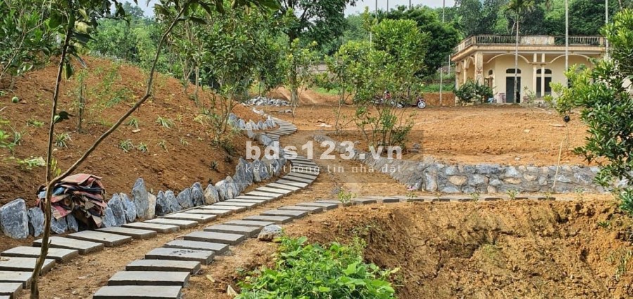Đất nghỉ dưỡng Yên Bình, Thạch Thất giá đầu tư sinh lời 3.x triệu/m2, pháp lý chính chủ
