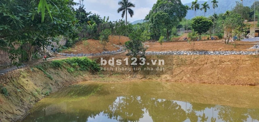 Đất nghỉ dưỡng Yên Bình, Thạch Thất giá đầu tư sinh lời 3.x triệu/m2, pháp lý chính chủ