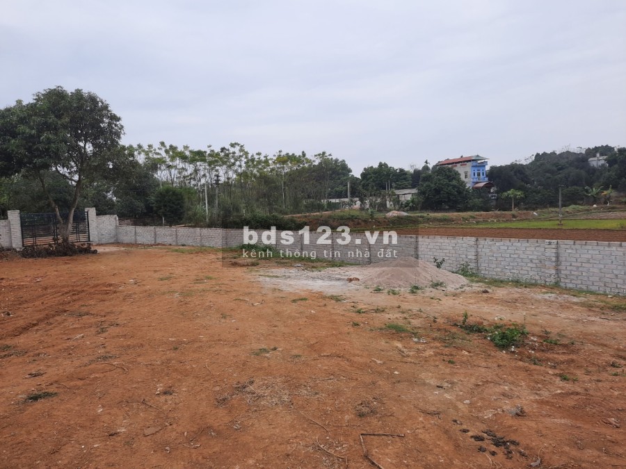 Đất nghỉ dưỡng cực đẹp tại Cổ Đông, Sơn Tây giá bán chỉ 8.35 triệu/m2, khu dân cư đông đúc
