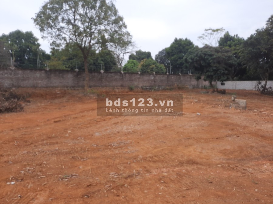 Đất nghỉ dưỡng cực đẹp tại Cổ Đông, Sơn Tây giá bán chỉ 8.35 triệu/m2, khu dân cư đông đúc