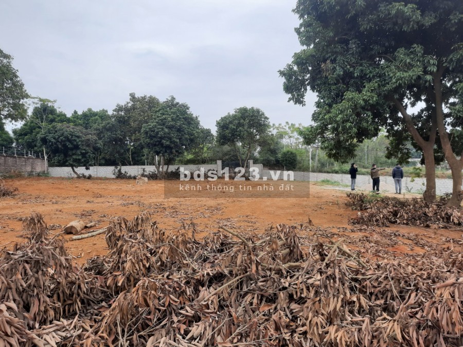 Đất nghỉ dưỡng cực đẹp tại Cổ Đông, Sơn Tây giá bán chỉ 8.35 triệu/m2, khu dân cư đông đúc