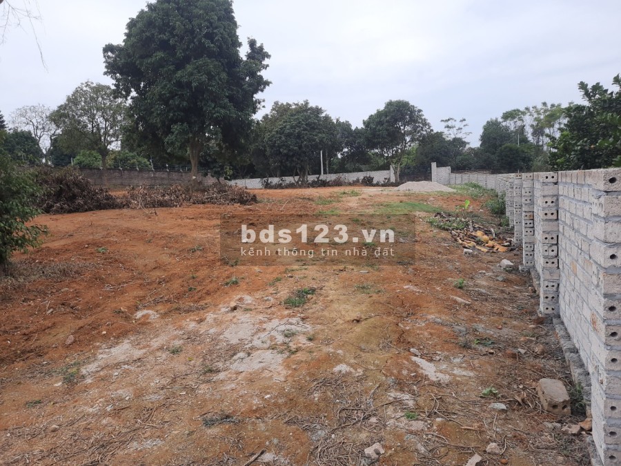 Đất nghỉ dưỡng cực đẹp tại Cổ Đông, Sơn Tây giá bán chỉ 8.35 triệu/m2, khu dân cư đông đúc