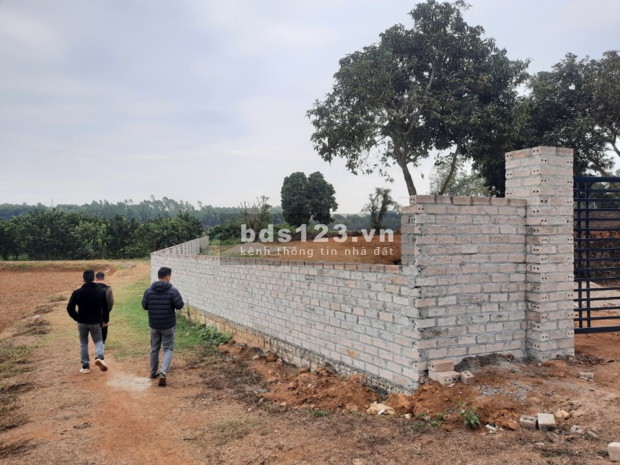 Đất nghỉ dưỡng cực đẹp tại Cổ Đông, Sơn Tây giá bán chỉ 8.35 triệu/m2, khu dân cư đông đúc