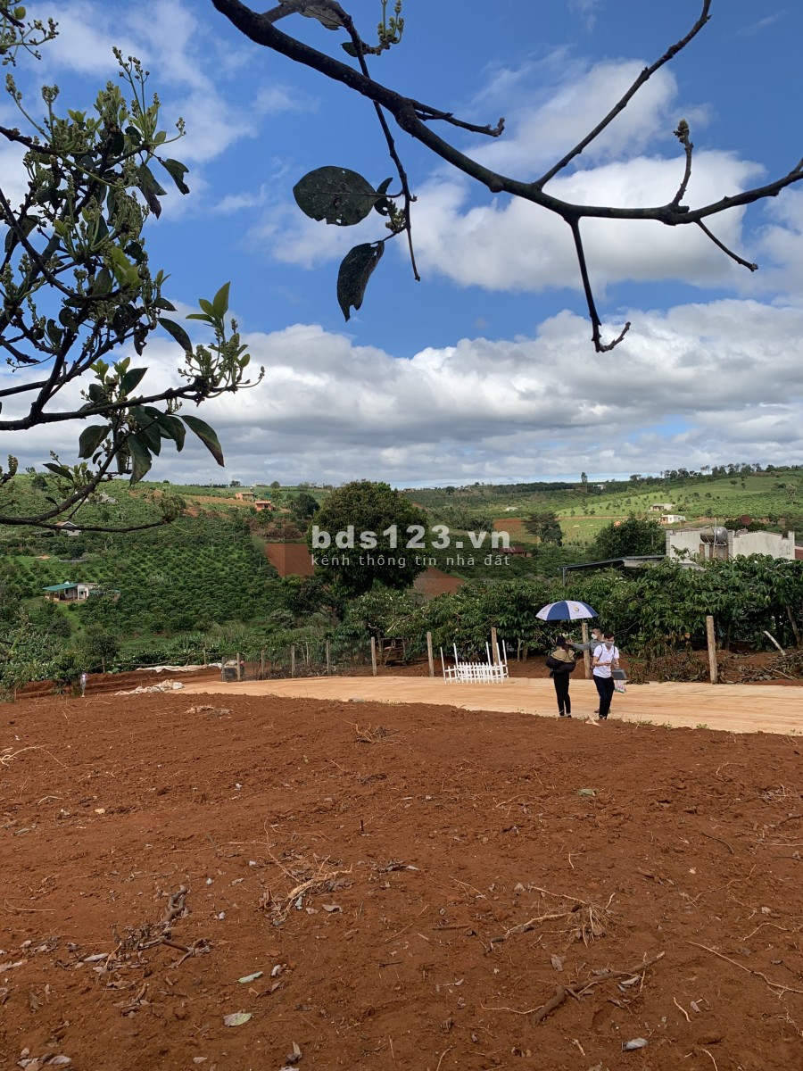 Đất nền biệt thự vườn Lâm Hà Lâm Đồng ven Đà Lạt liên hệ 0966324638, khu dân cư hiện hữu