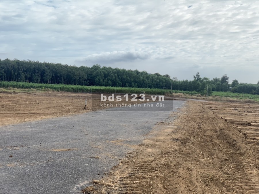 Chính chủ bán gấp hơn 1000m2 đất ONT đường nhựa siêu vị trí giá đầu tư chỉ 1tr8/m2
