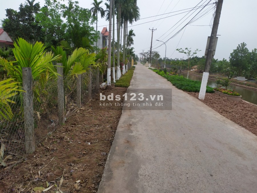 Đất chính chủ phù hợp xây biệt thự, nhà vườn, homestay giá tốt, pháp lý chính chủ