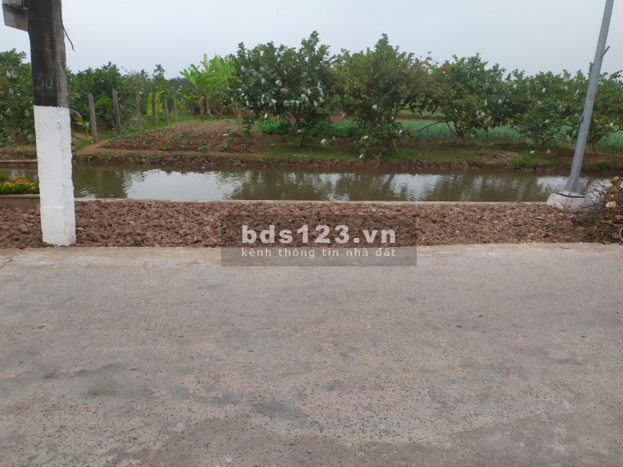 Đất chính chủ phù hợp xây biệt thự, nhà vườn, homestay giá tốt, pháp lý chính chủ