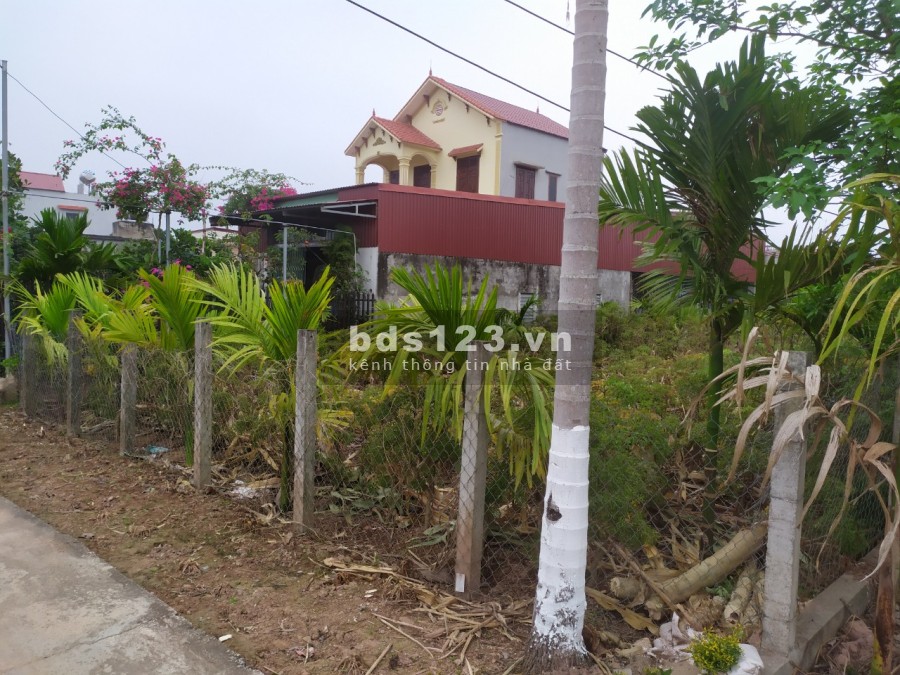 Đất chính chủ phù hợp xây biệt thự, nhà vườn, homestay giá tốt, pháp lý chính chủ
