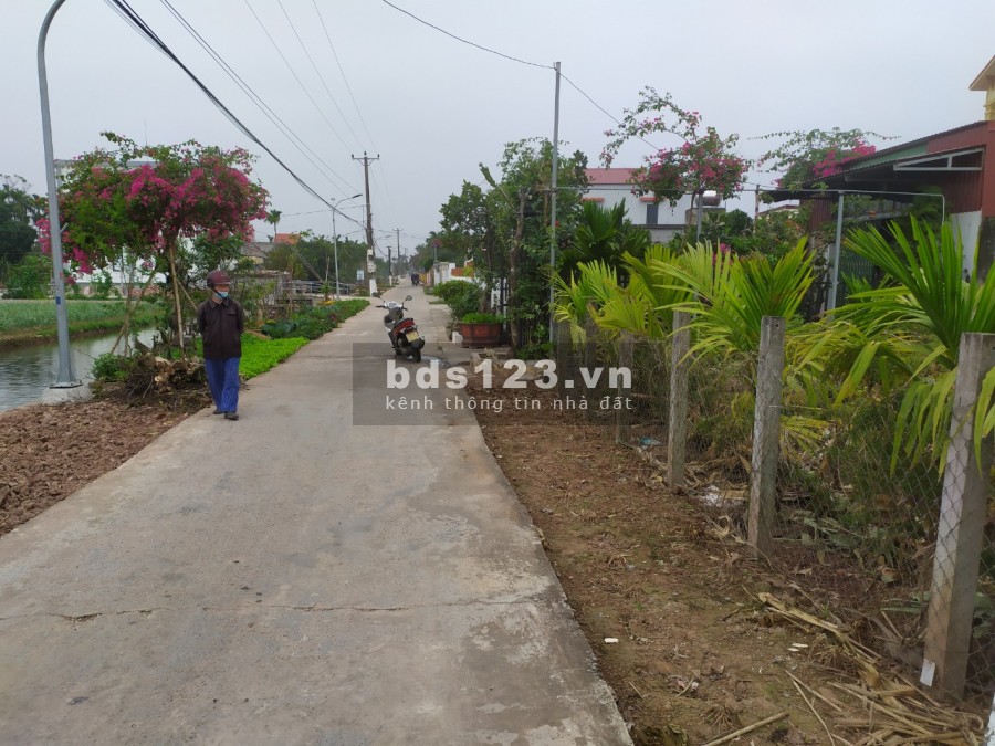Đất chính chủ phù hợp xây biệt thự, nhà vườn, homestay giá tốt, pháp lý chính chủ