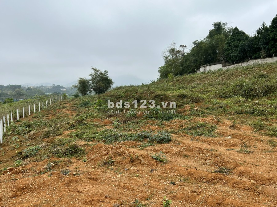 Đất nghỉ dưỡng tại thôn Muỗi, Yên Bài, Ba Vì liên hệ 0988303298 giá bán chỉ 3.x triệu/m2