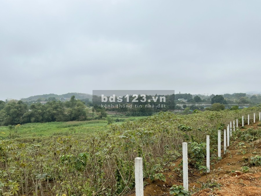 Đất nghỉ dưỡng tại thôn Muỗi, Yên Bài, Ba Vì liên hệ 0988303298 giá bán chỉ 3.x triệu/m2