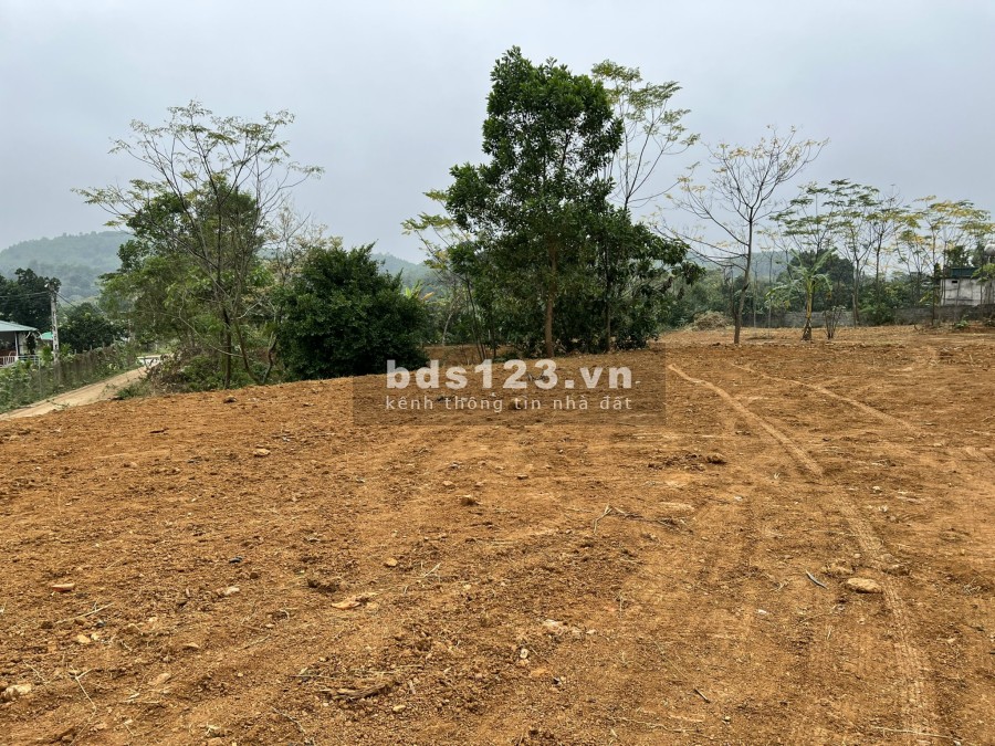 Siêu phẩm nghỉ dưỡng xóm Bài, Yên Bài, cách Hà Nội 50' liên hệ 0988303298, sổ đổ chính chủ