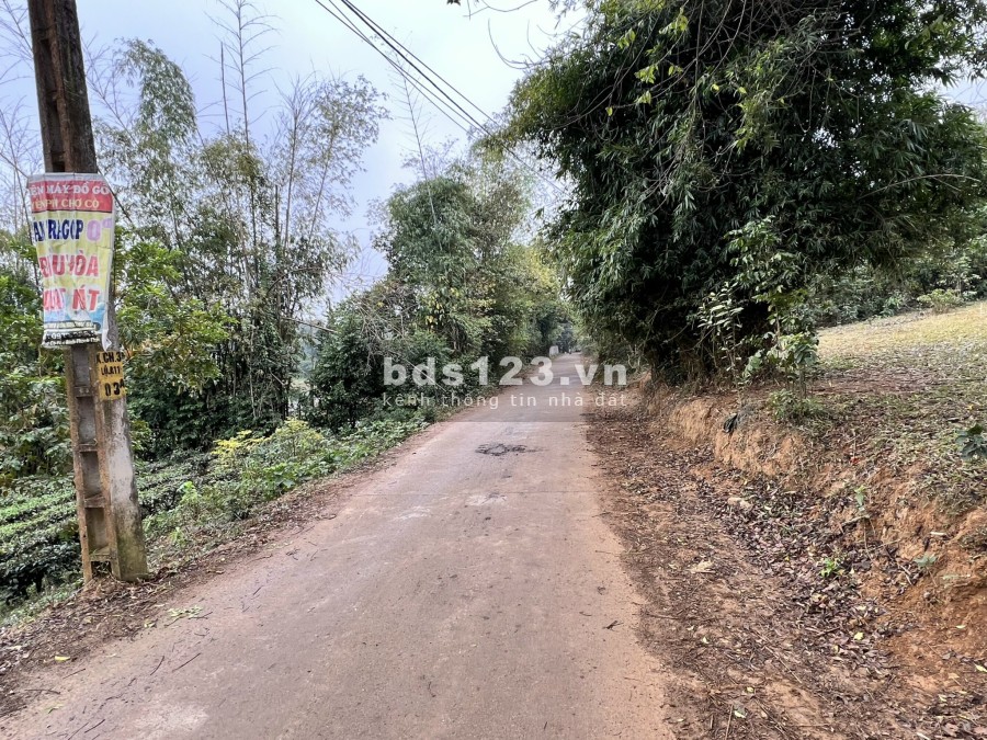 Lô đất nghỉ dưỡng ít tiền tại thôn Chóng, Yên Bài khu dân cư vị trí đắc địa, giá tốt đầu tư