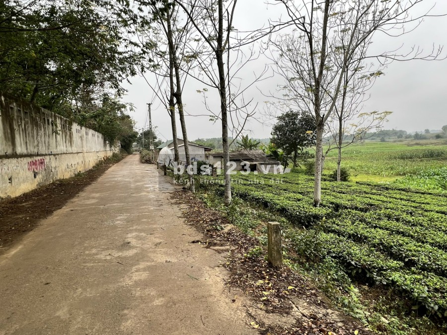 Lô đất nghỉ dưỡng ít tiền tại thôn Chóng, Yên Bài khu dân cư vị trí đắc địa, giá tốt đầu tư