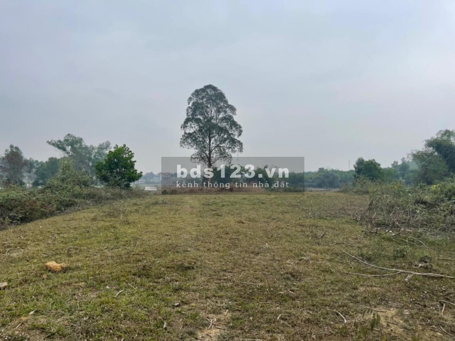 Siêu phẩm nghỉ dưỡng tại Tiến Xuân, Thạch Thất giá bán 5 triệu/m2, liên hệ 0988303298