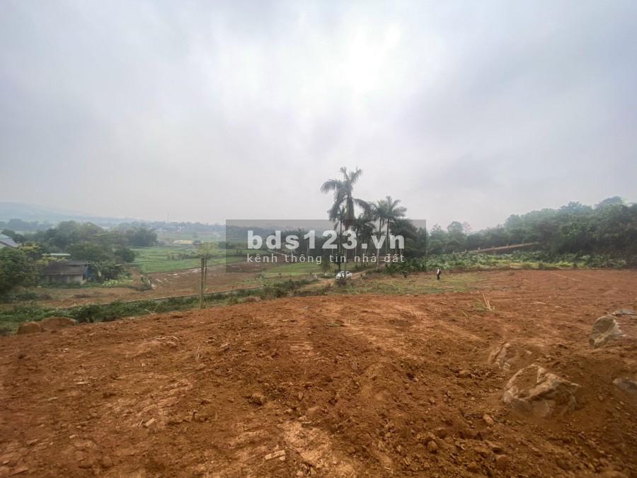 Lô đất nghỉ dưỡng tại Yên Bài cực đẹp, đầu tư cực tiềm năng liên hệ chính chủ 0988303298