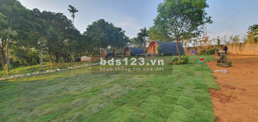 Siêu phẩm Homestay Ba Vì 2ha giá chỉ hơn triệu mét tiện ích xung quanh đầy đủ, khu dân cư