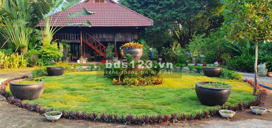 Siêu phẩm Homestay Ba Vì 2ha giá chỉ hơn triệu mét tiện ích xung quanh đầy đủ, khu dân cư