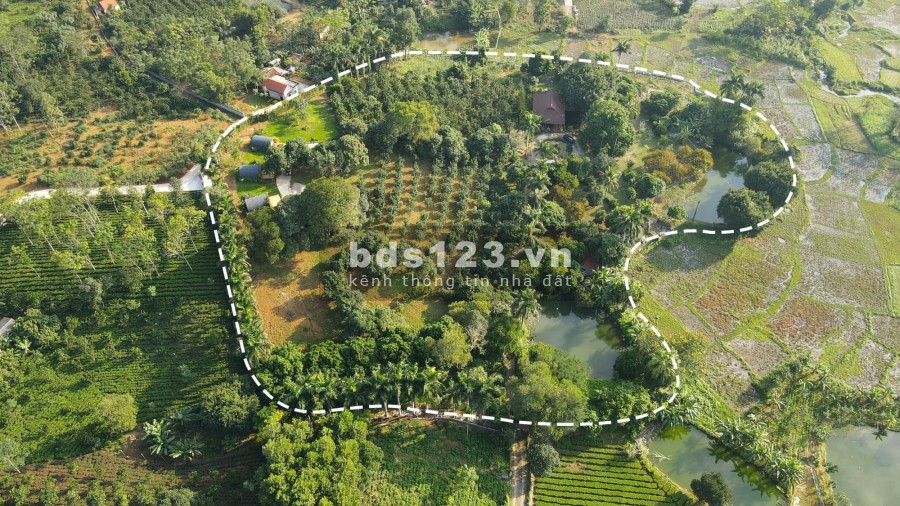 Siêu phẩm Homestay Ba Vì 2ha giá chỉ hơn triệu mét tiện ích xung quanh đầy đủ, khu dân cư