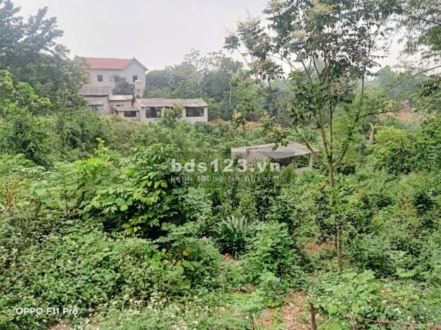 Siêu phẩm nghỉ dưỡng tặng nhà tại Kim Sơn - Sơn Tây giá bán hơn 3 tỷ, sổ đổ chính chủ
