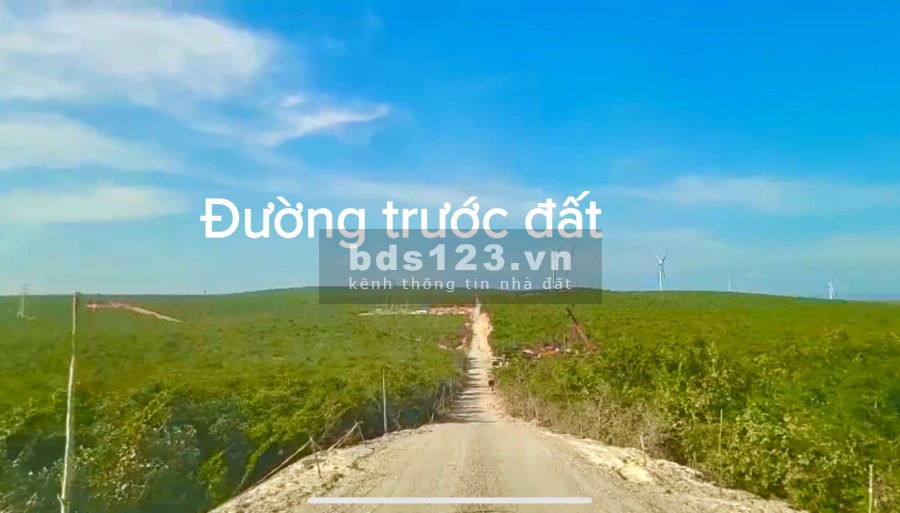 Gấp - Bán đất vườn tặng farmstay full nôi thất tại xã Tuy Phong - Bình Thuận sở hữu vĩnh viển